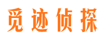 洪湖侦探社